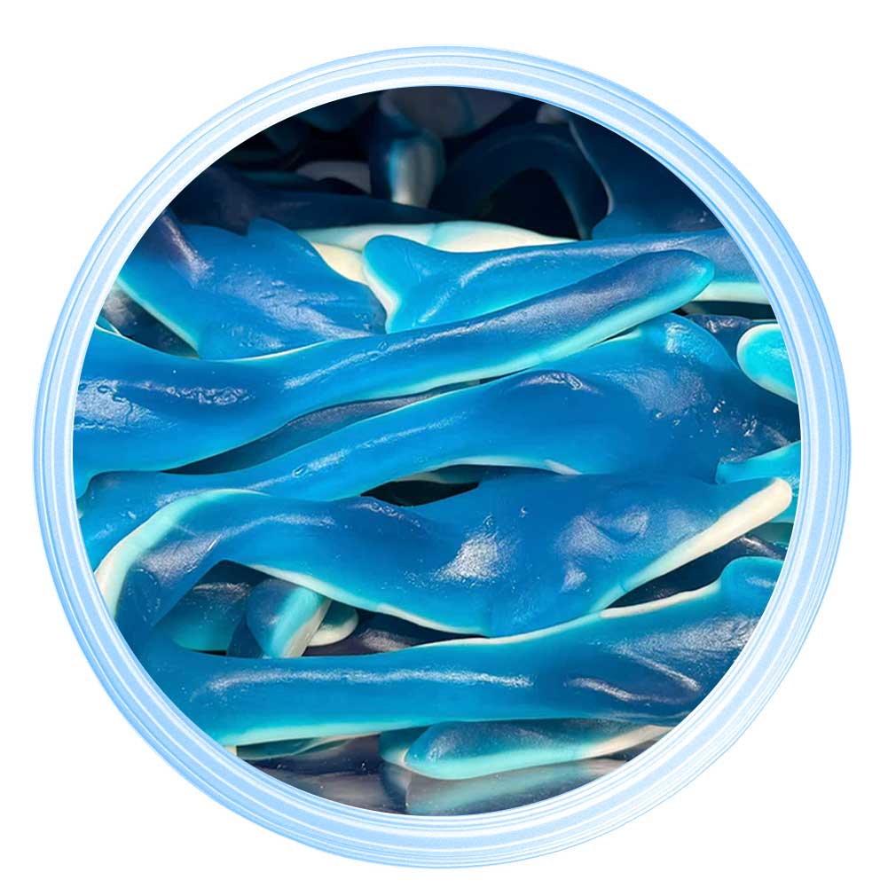 Giant Clear Dolphin 2025126