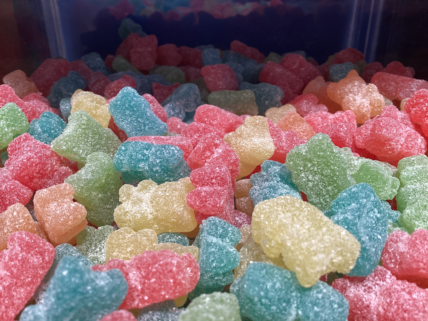 VEGAN BEARS 262227