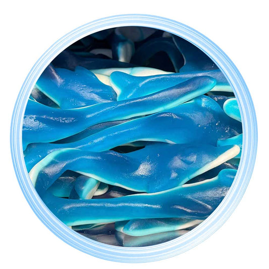 Giant Clear Dolphin 2025126