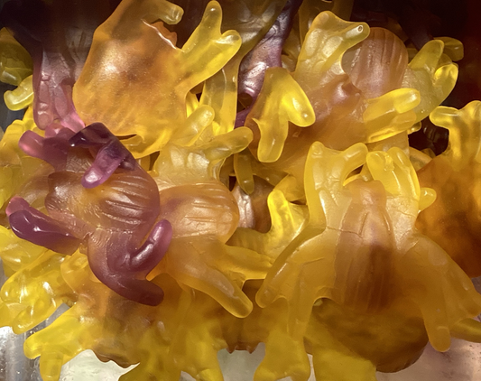 Winegum Spinnen Damel 2622001 ***